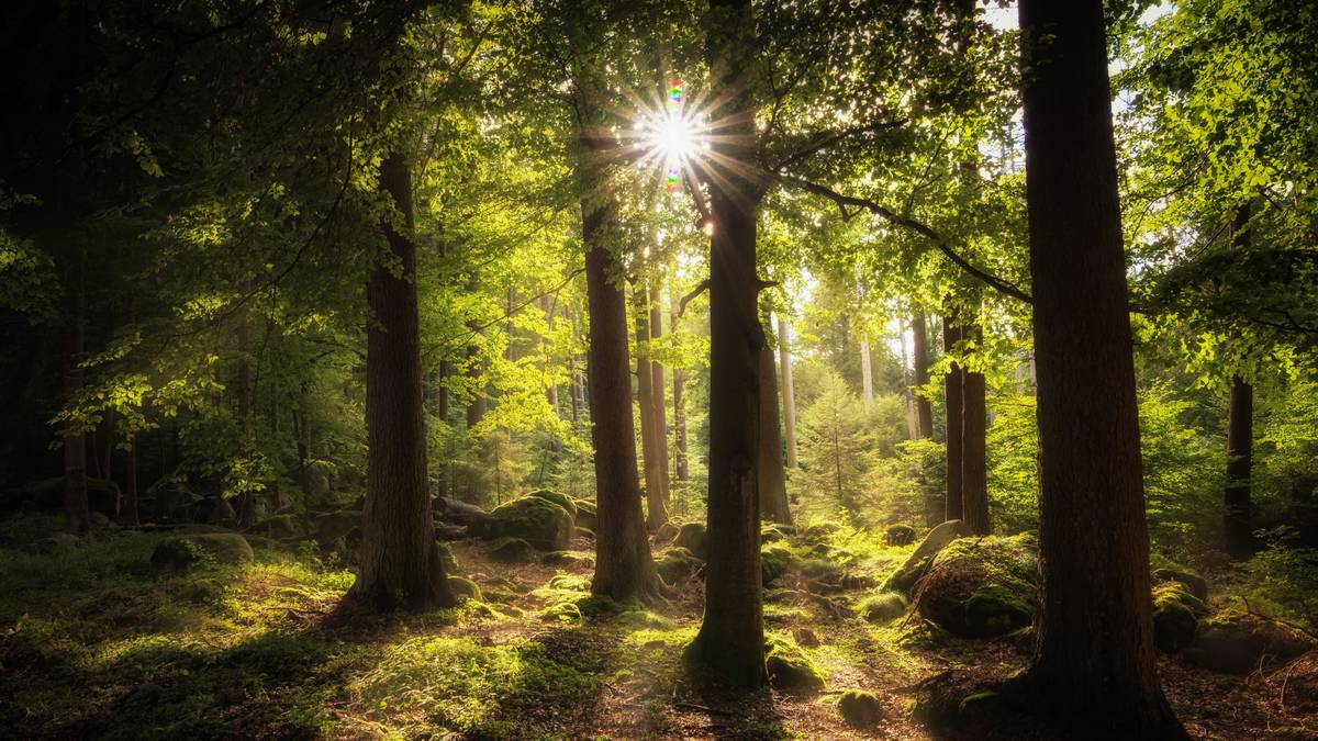 悬疑推理恐怖小说