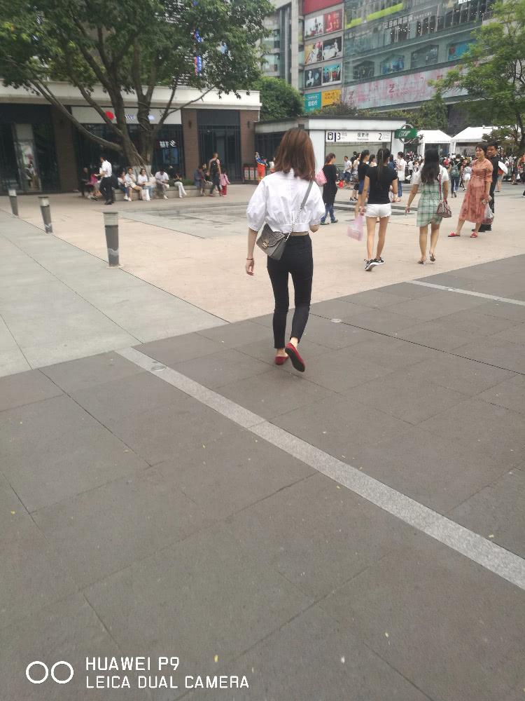 工藤新一的日本后宫