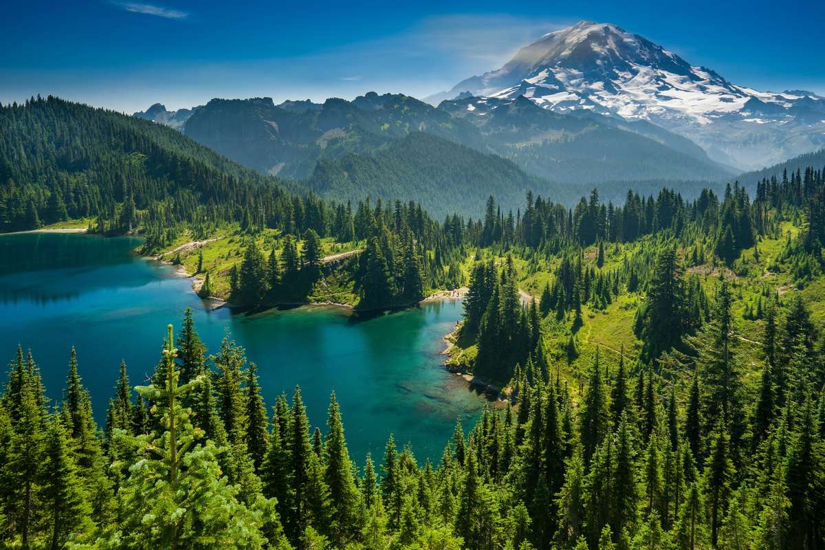 刑侦小说甜文纯爱