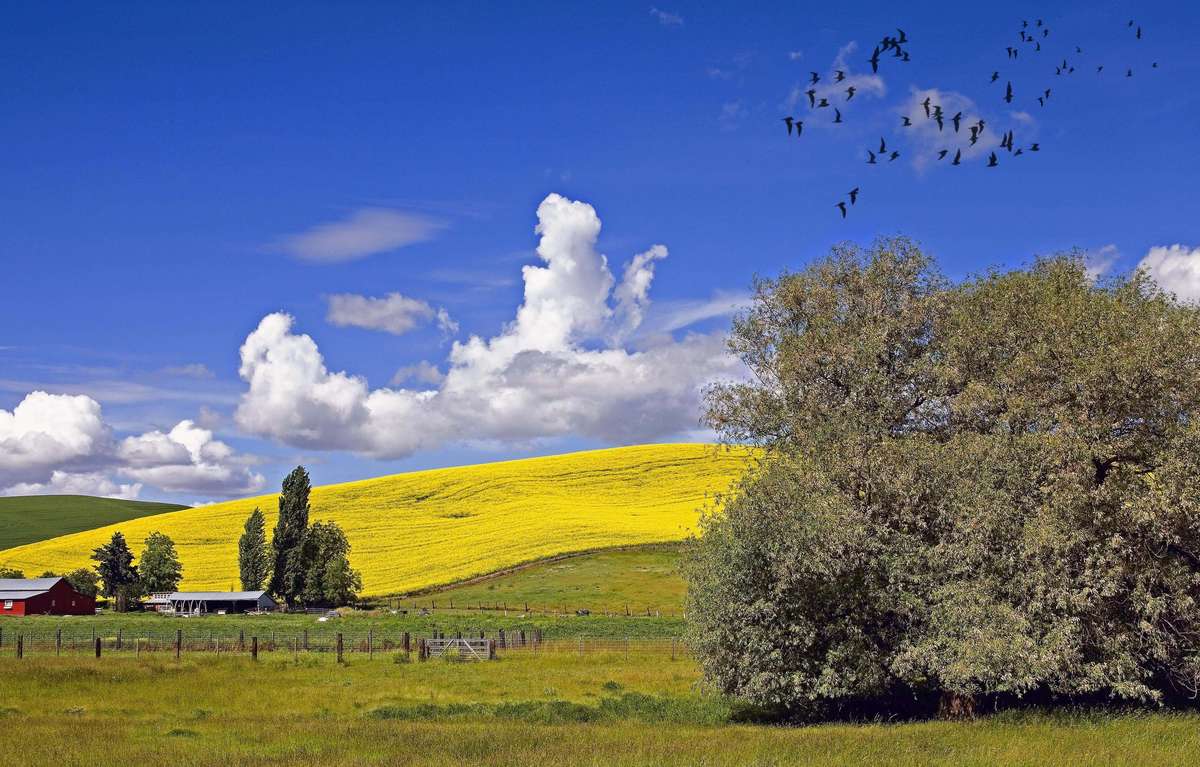东野圭吾赛文