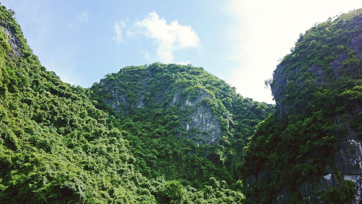 我是工藤新一