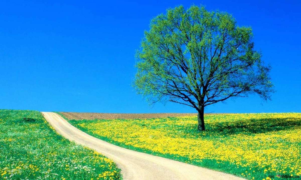 女法医刑侦记
