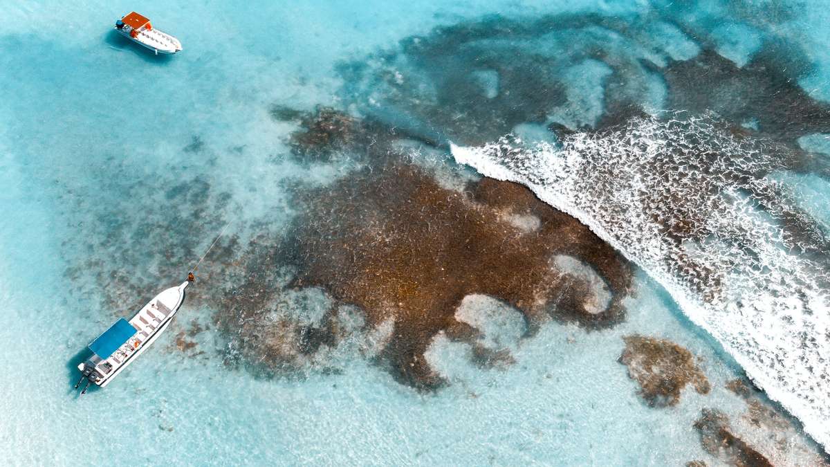 福尔摩斯夏洛克