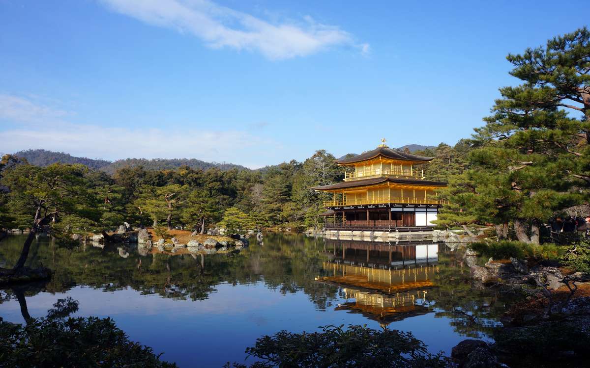东野圭吾谁杀了她