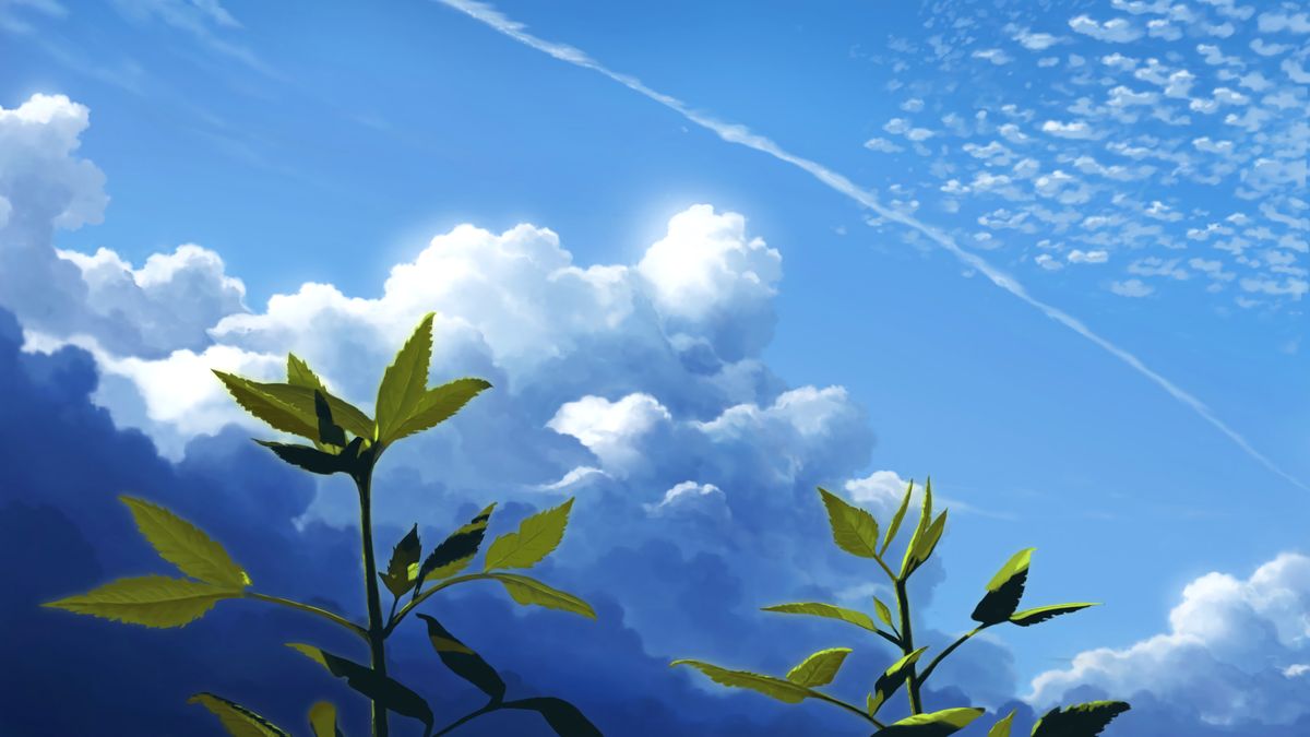侦探言情推理小说