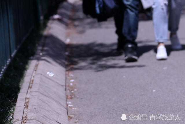 刑侦检验照相实验