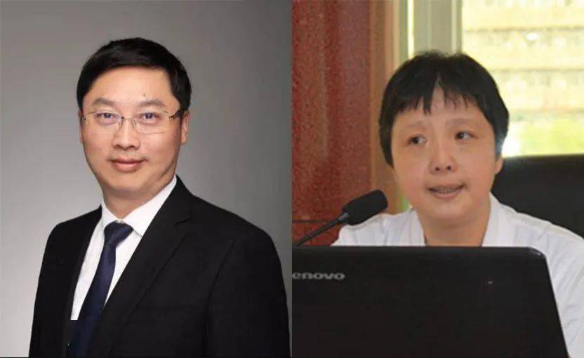 是或不是推理游戏题库