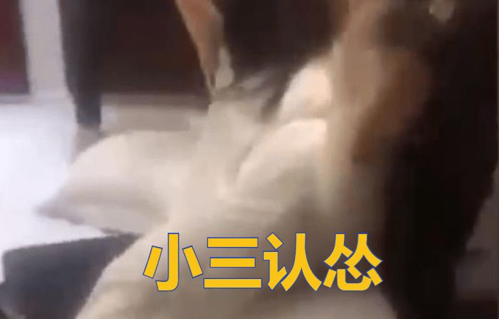 奇能大侦探小说