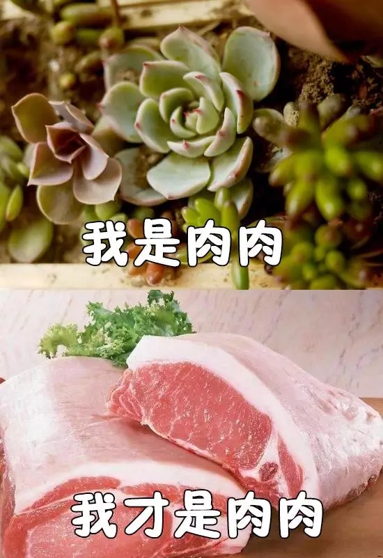 雾都侦探社
