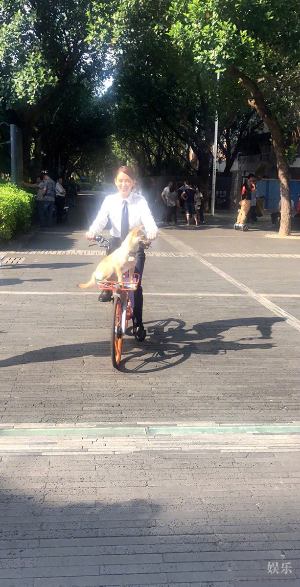著名美国侦探小说