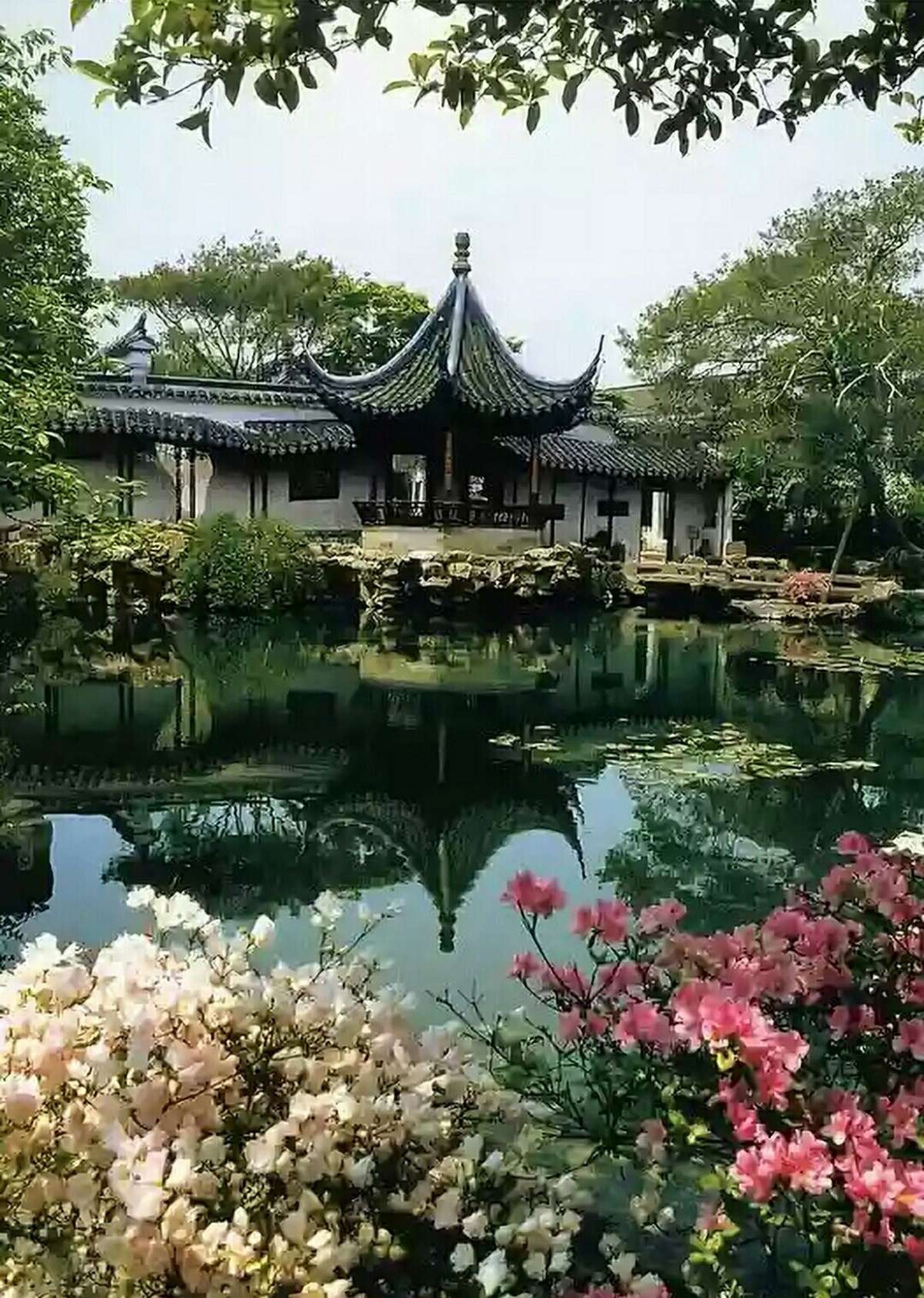 阿加莎克里斯蒂壁纸